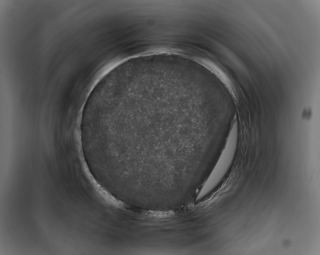 X0000099941055200806201116