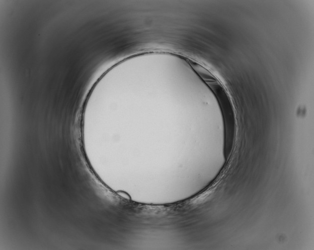 X0000099941056200806201116