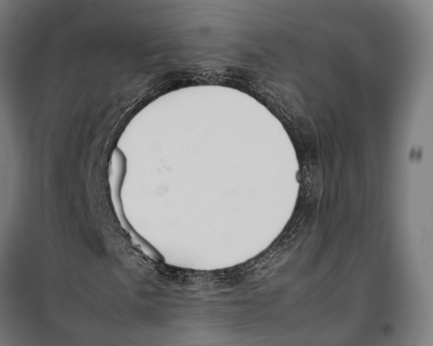 X0000099941057200806201115