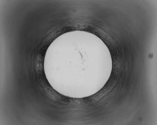 X0000099941058200806201115