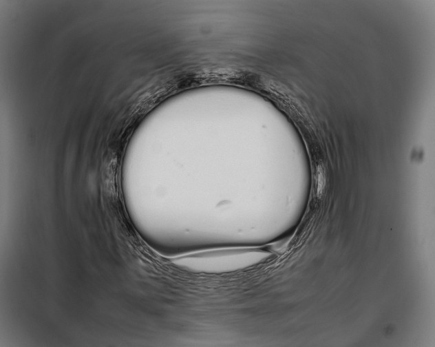 X0000099941059200806201115