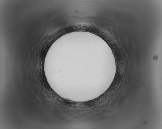 X0000099941061200806201115