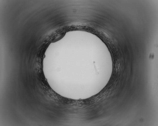 X0000099941062200806201115