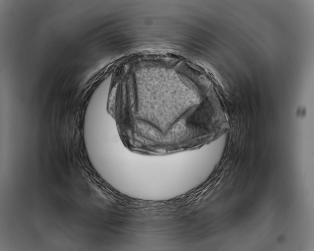 X0000099941064200806201115