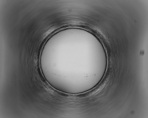 X0000099941065200806201115