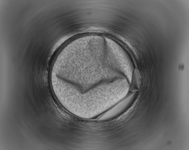 X0000099941066200806201115