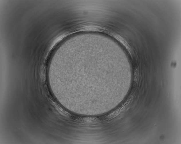 X0000099941067200806201115