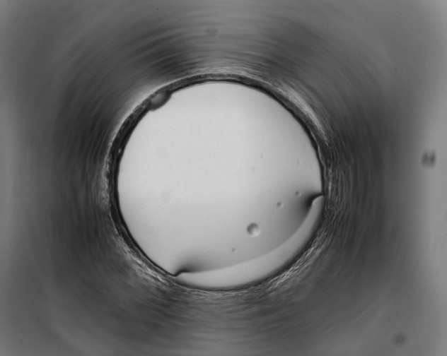 X0000099941068200806201115