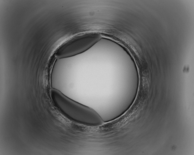 X0000099941069200806201115