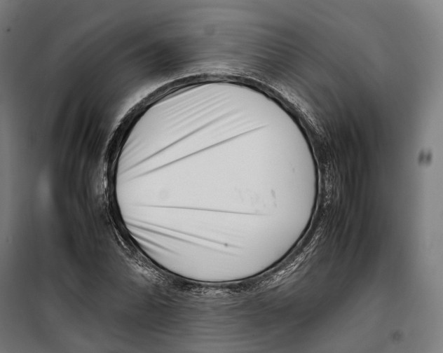 X0000099941070200806201115