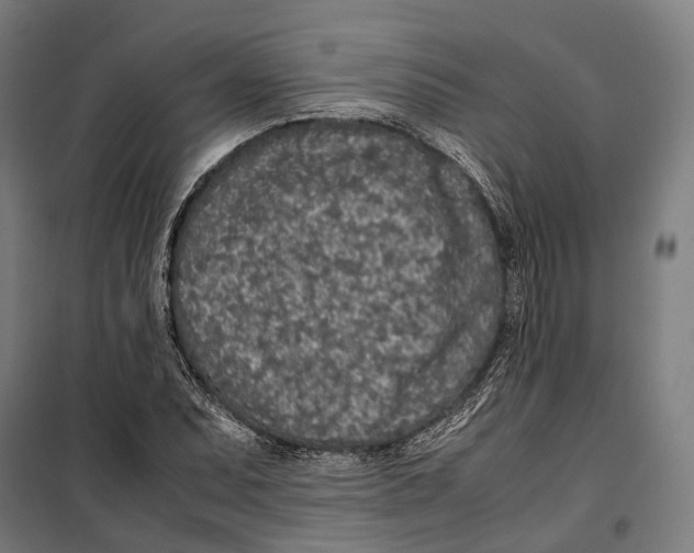 X0000099941071200806201115