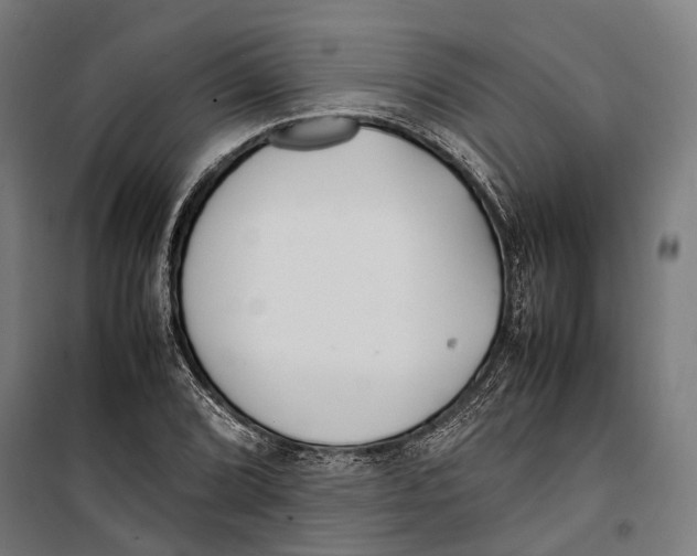 X0000099941072200806201115