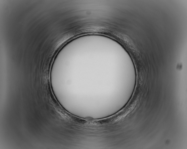 X0000099941073200806201115
