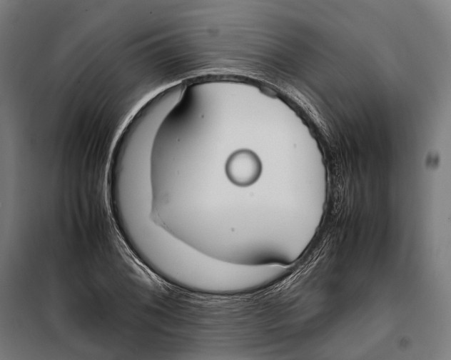 X0000099941076200806201115