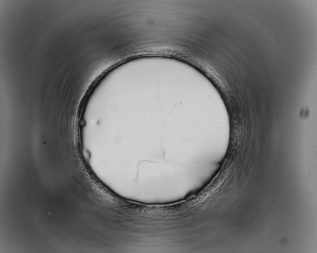X0000099941079200806201115