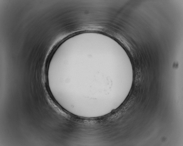 X0000099941080200806201115