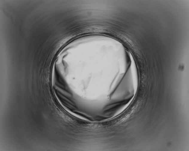 X0000099941081200806201115