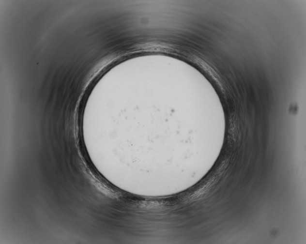 X0000099941082200806201115