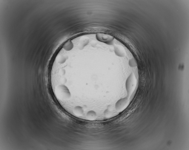 X0000099941083200806201115