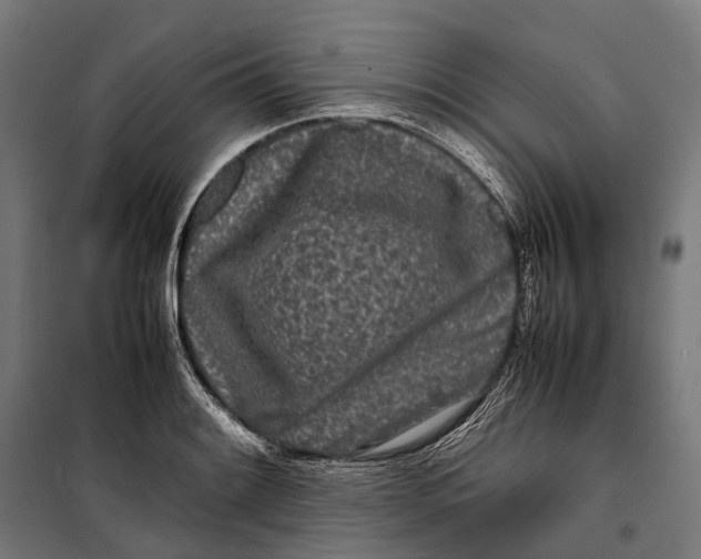 X0000099941084200806201115
