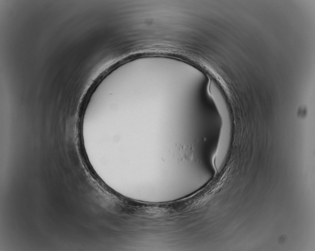 X0000099941085200806201114
