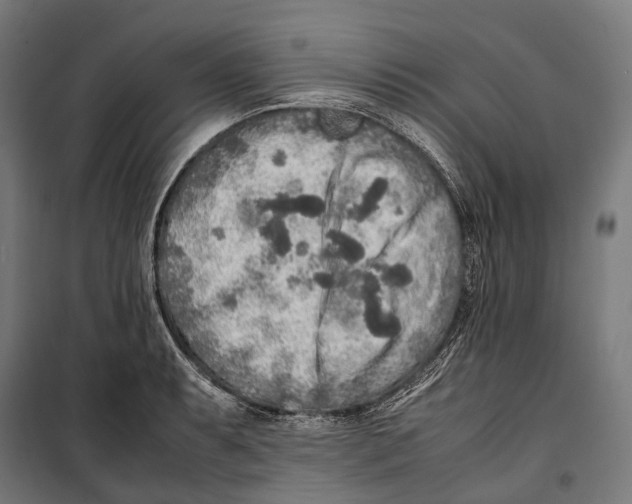 X0000099941087200806201114