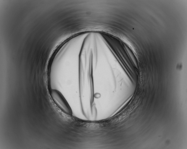 X0000099941088200806201114