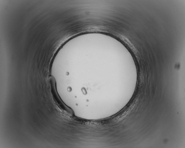 X0000099941089200806201114