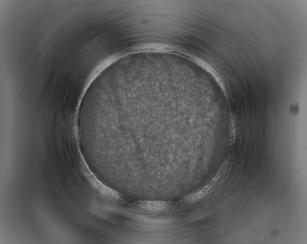 X0000099941090200806201114