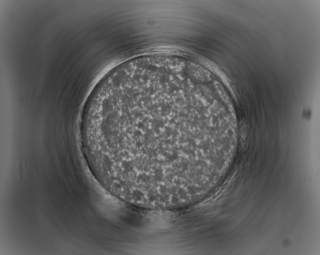 X0000099941091200806201114