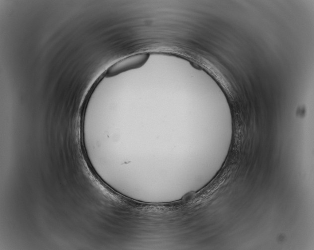 X0000099941092200806201114
