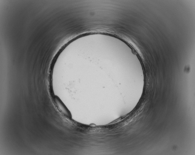 X0000099941093200806201114