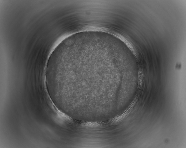X0000099941094200806201114