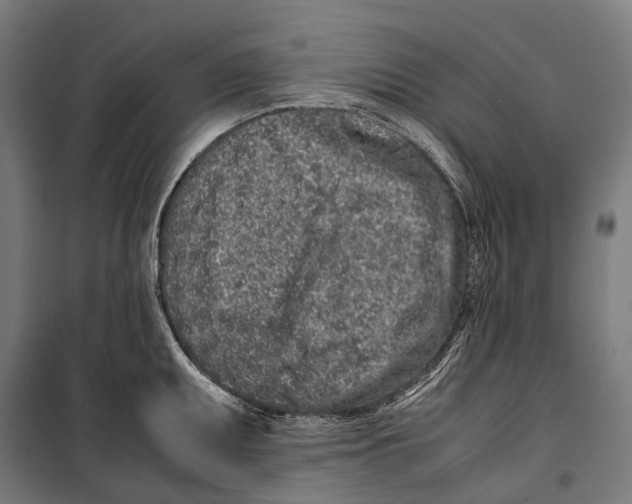 X0000099941095200806201114