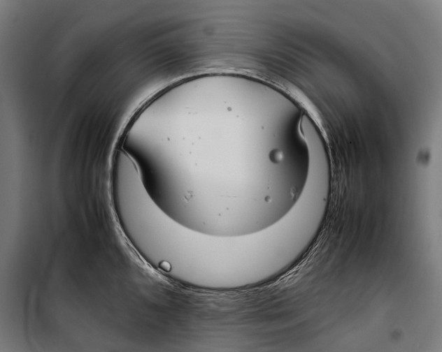 X0000099941096200806201114