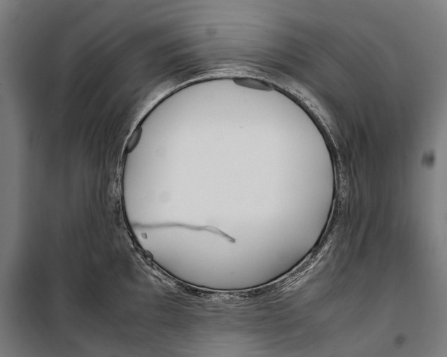 X0000099941097200806201114