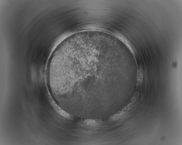 X0000099941098200806201114