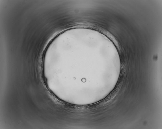 X0000099941099200806201114