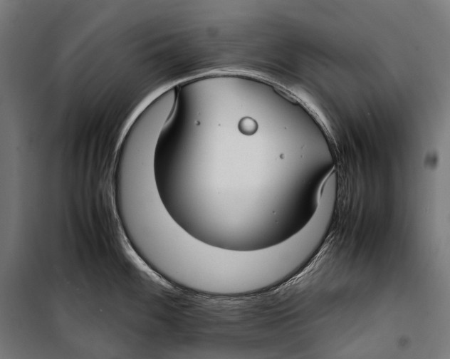 X0000099941100200806201114