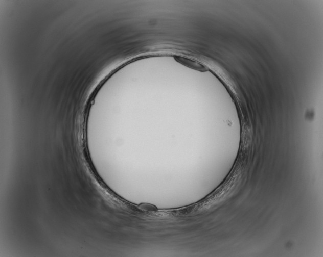 X0000099941101200806201114