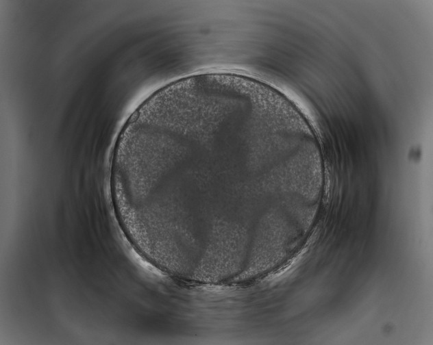 X0000099941102200806201114