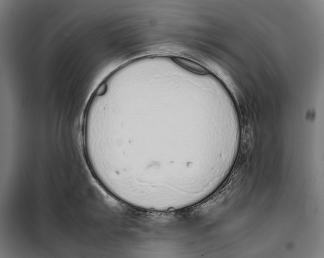 X0000099941103200806201114