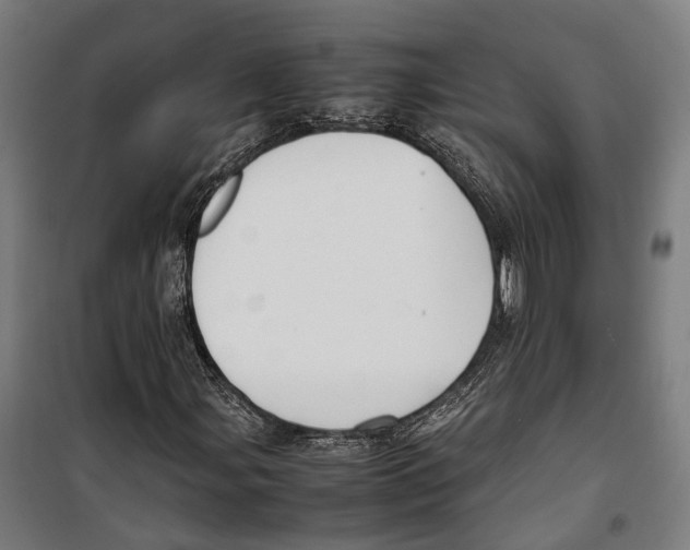 X0000099941107200806201114