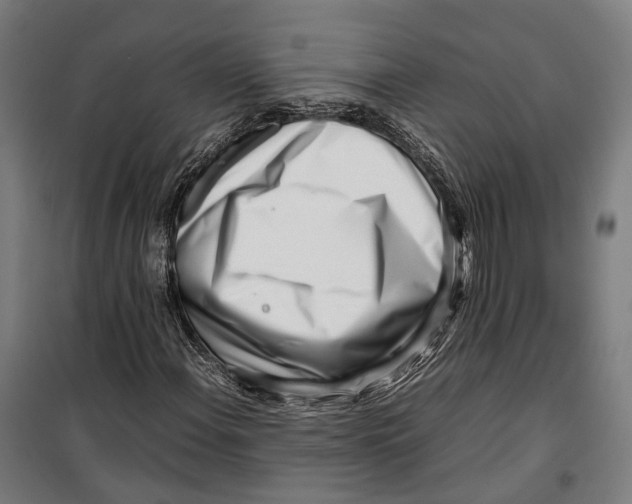 X0000099941108200806201114