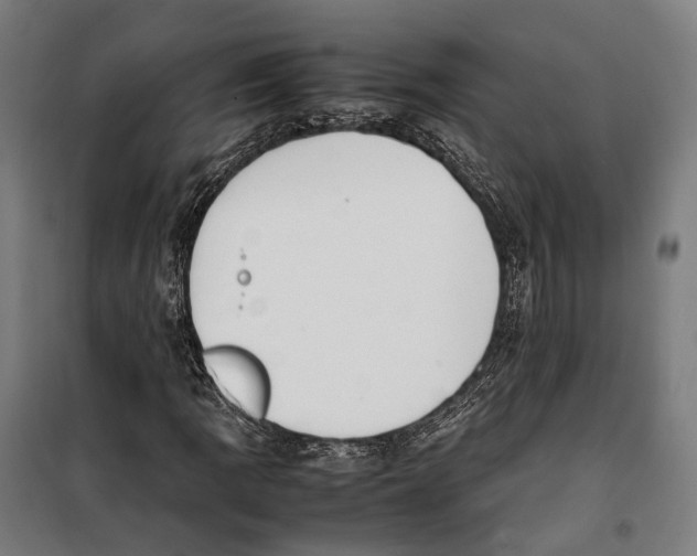 X0000099941109200806201114