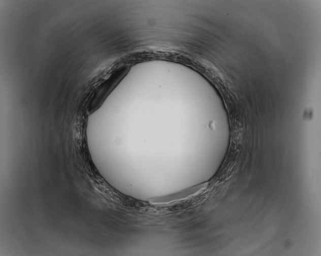 X0000099941110200806201114