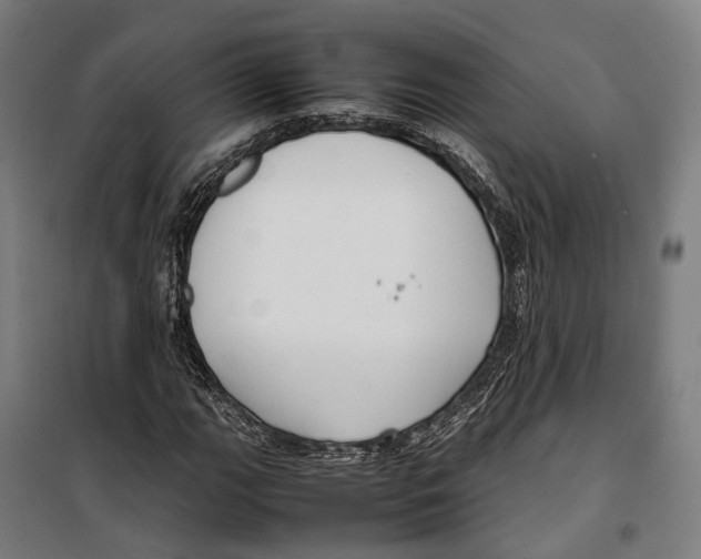 X0000099941111200806201114