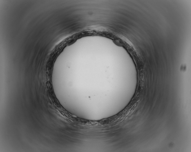X0000099941112200806201114
