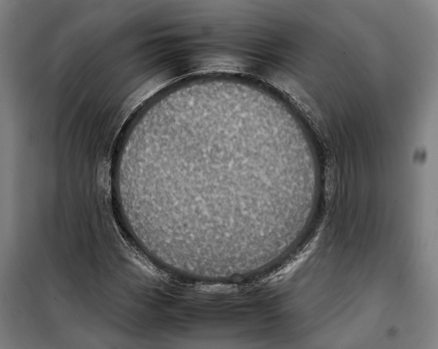 X0000099941113200806201114