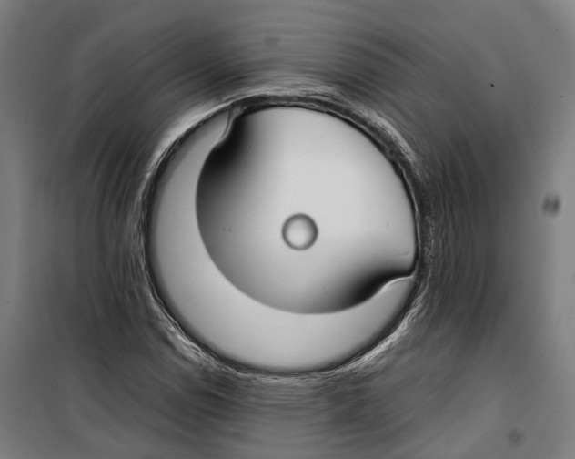 X0000099941114200806201114